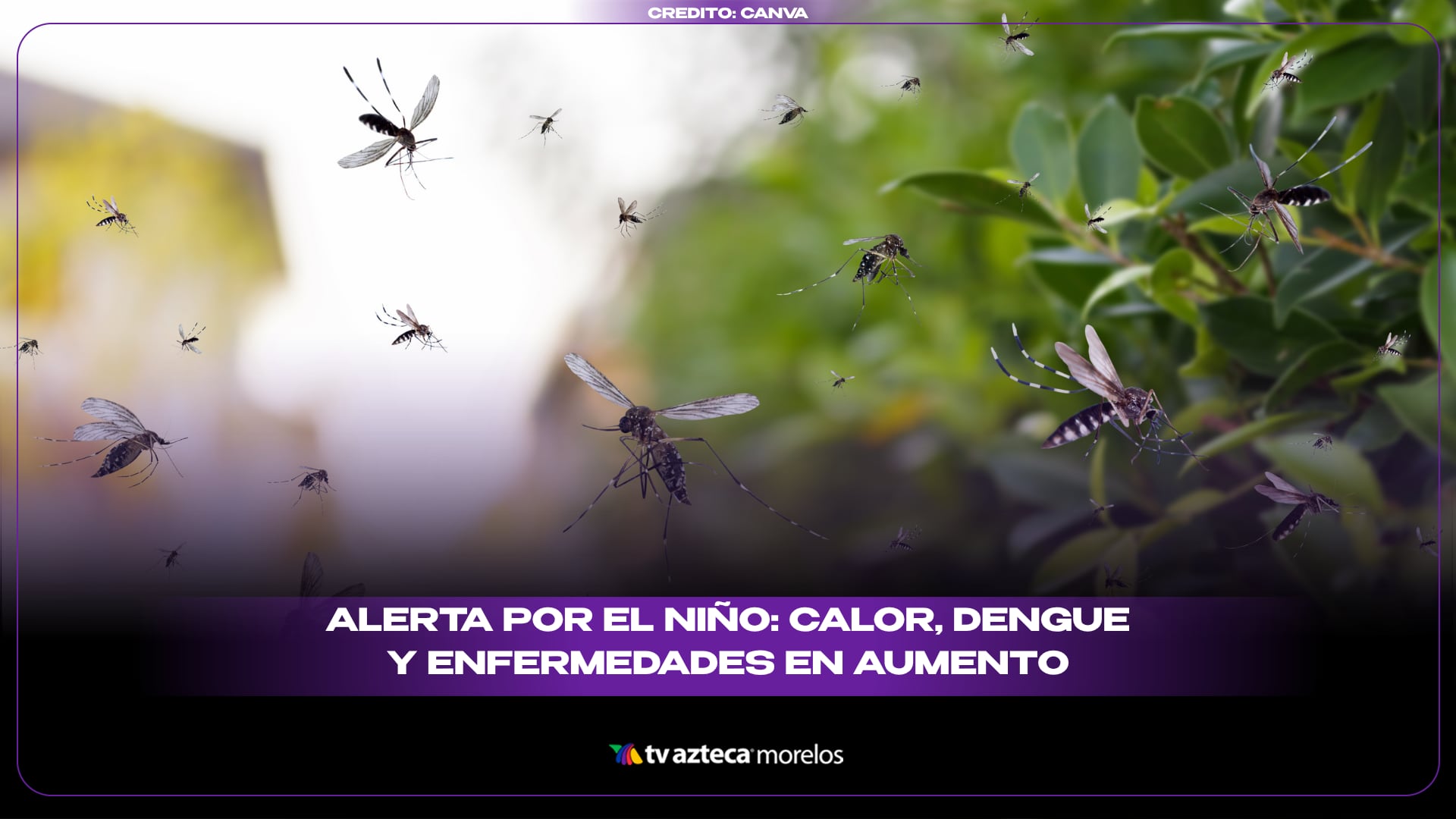 El Niño podría poner en riesgo la salud pública
