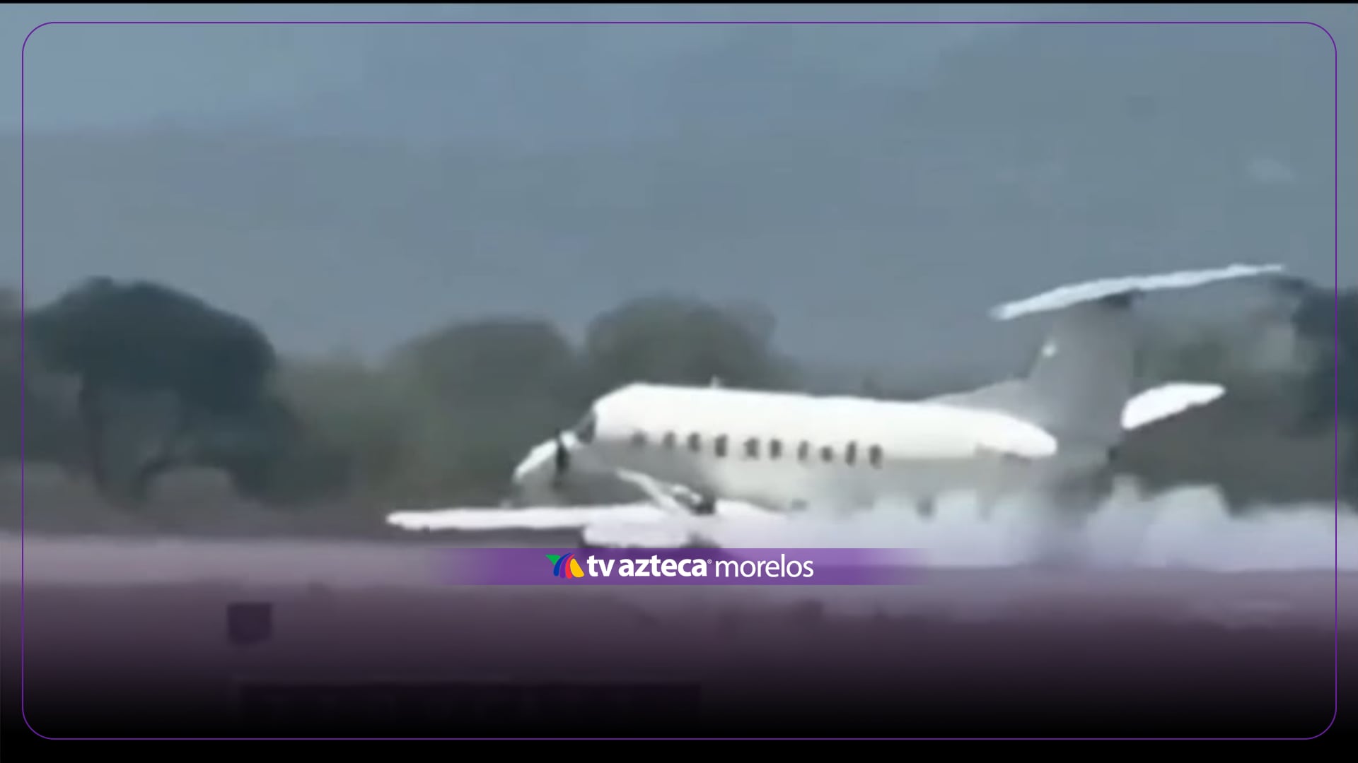VIDEO | Avión aterriza de emergencia tras chocar contra animal; ¿hubo víctimas mortales?