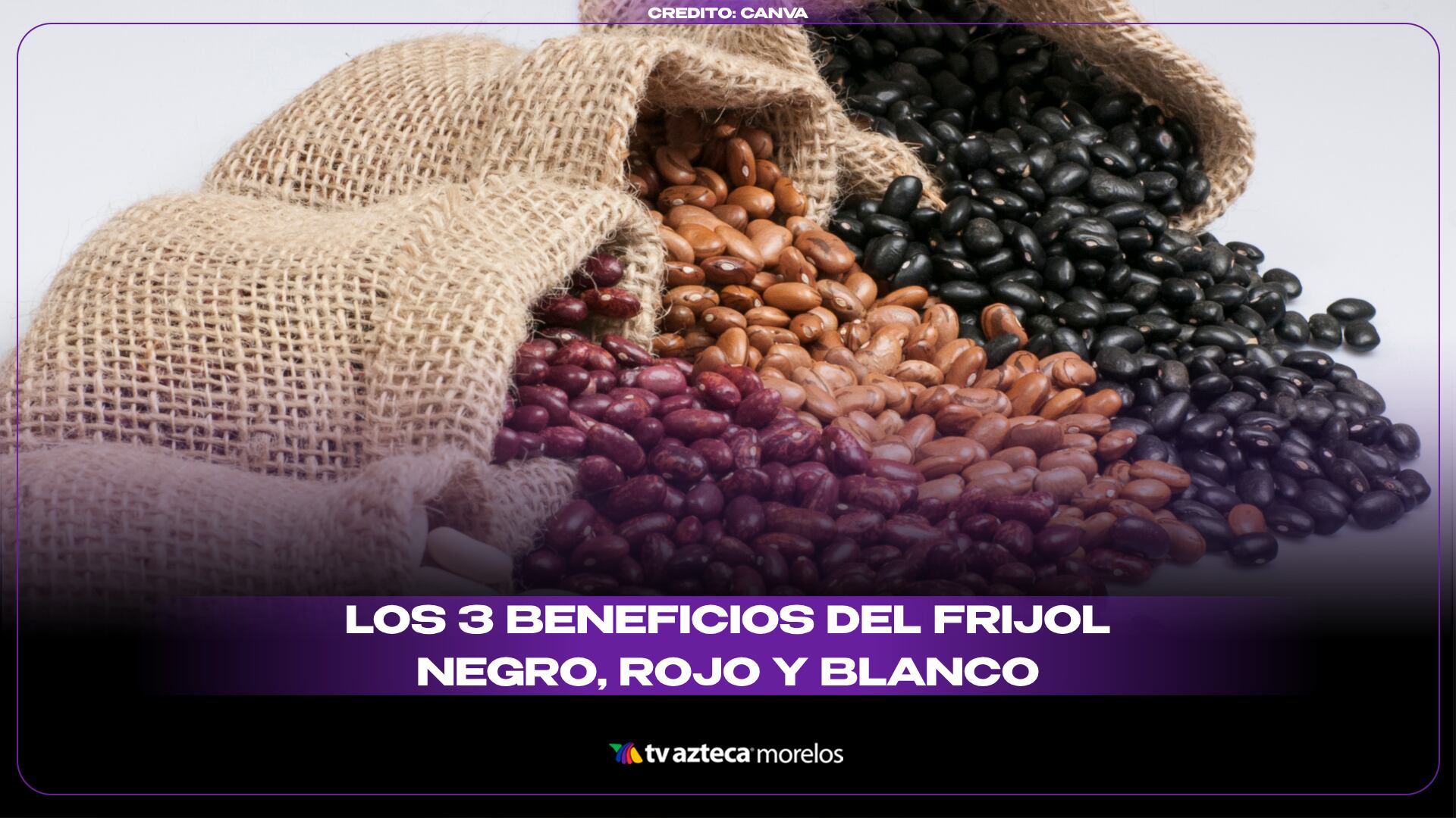 Los 3 beneficios del frijol negro, rojo y blanco