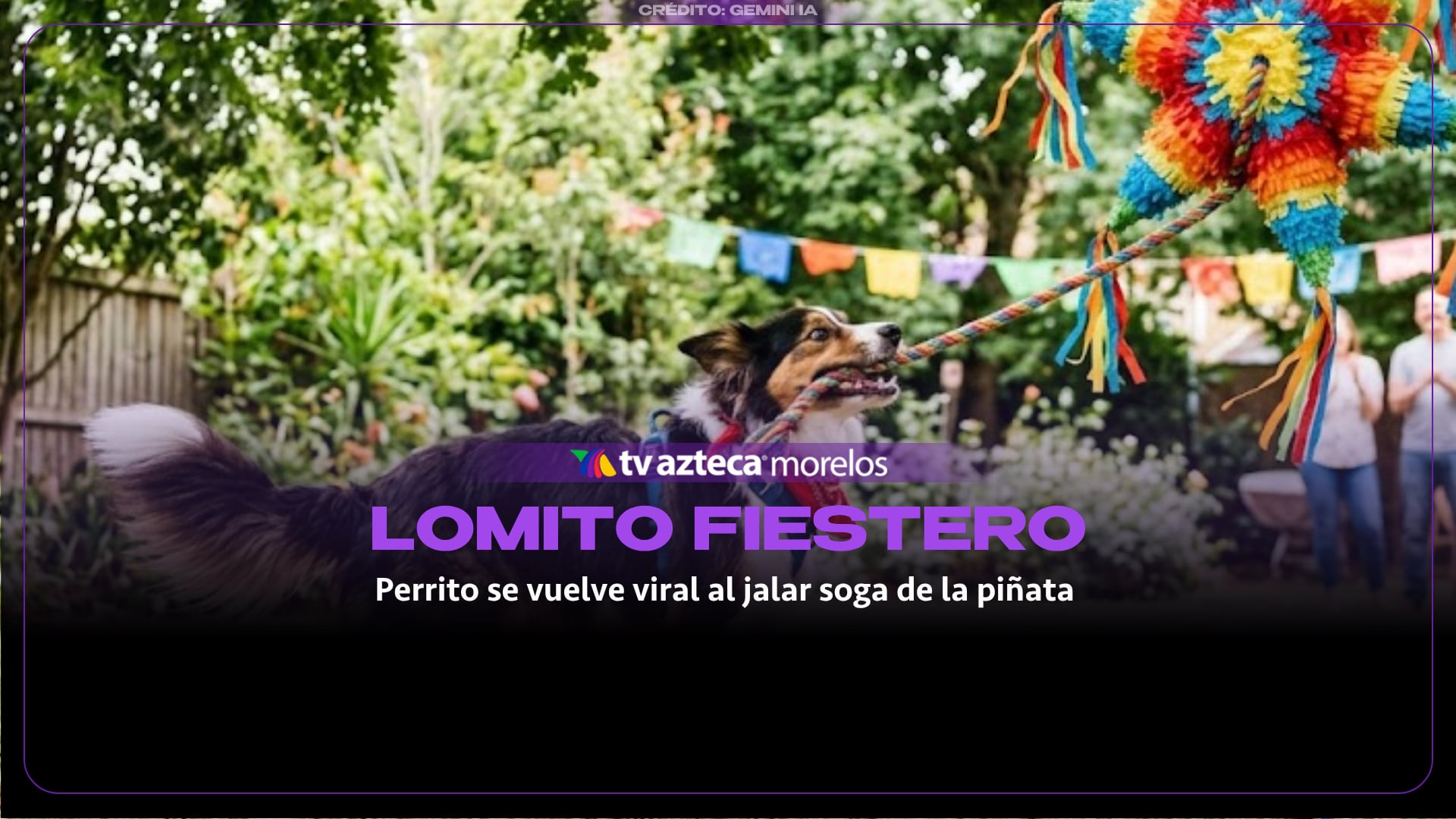 ¡Ni la piñata se salvó! Perrito se vuelve viral por jalar de la cuerda
