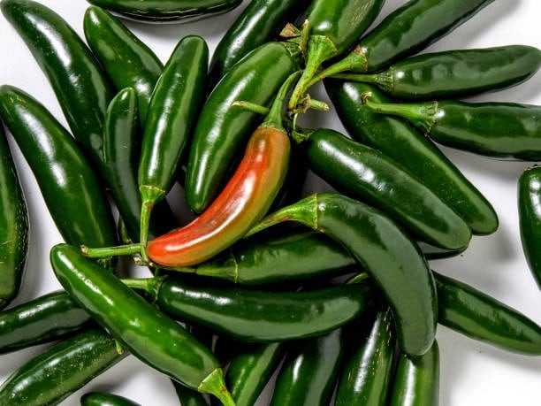 Chile serrano
