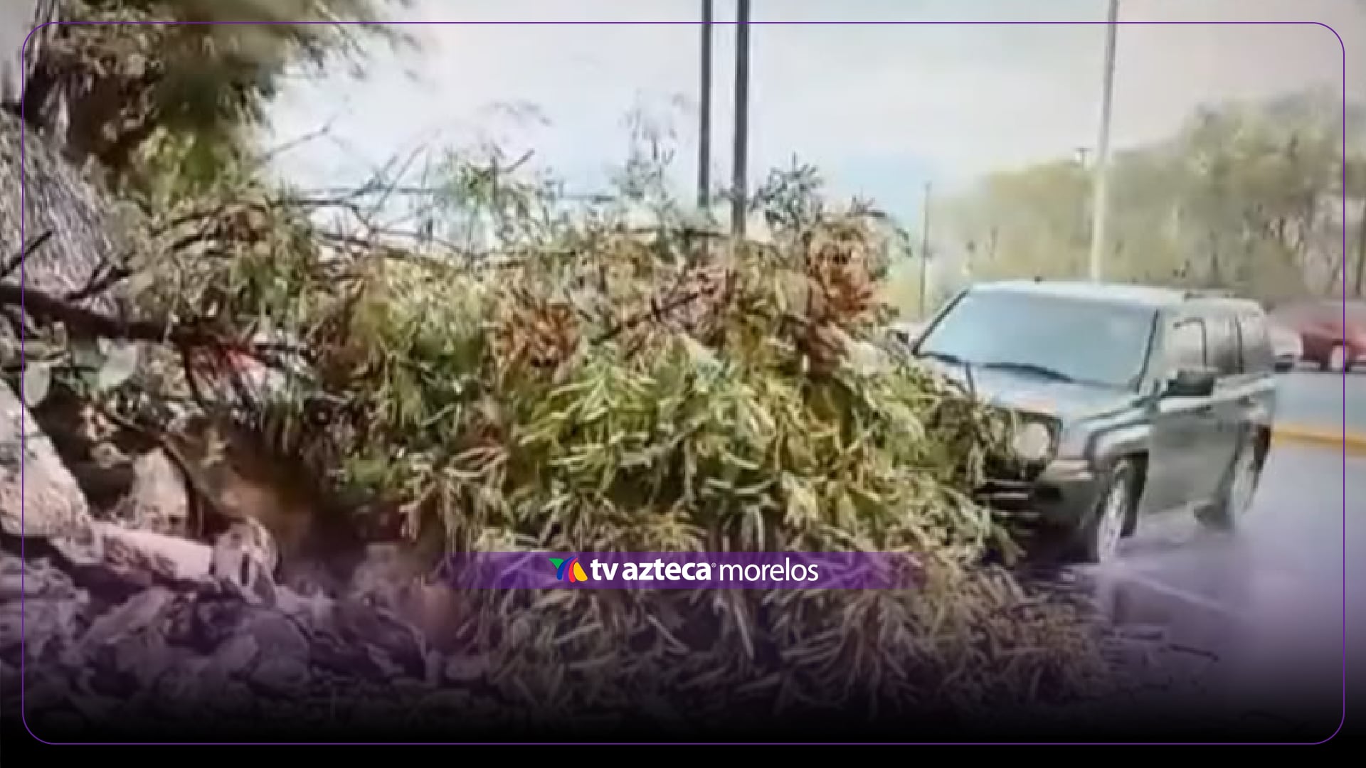 Reportera y camarógrafo son atropellados en vivo en Monterrey