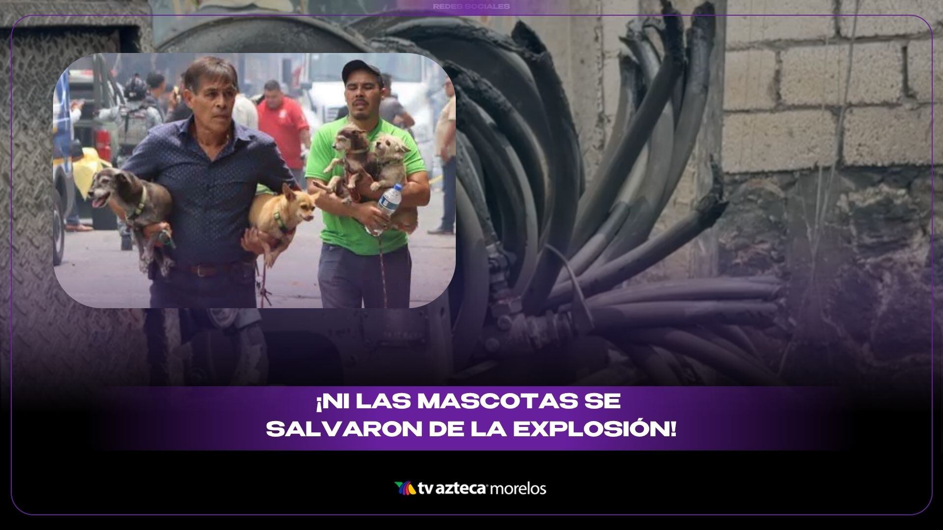 mascotas por explosion en las granjas cuernavaca.jpg