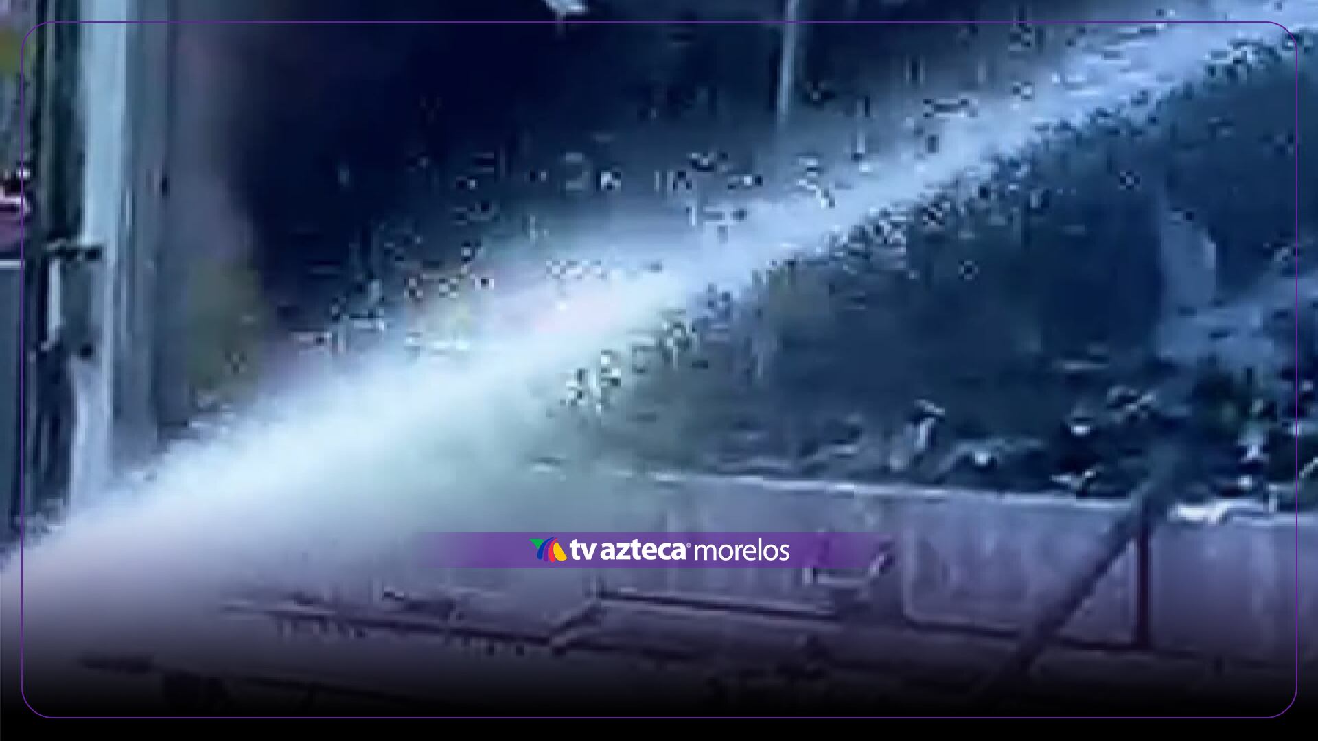 Mueren más de 4 mil pollitos durante incendio de camión (+VIDEO)