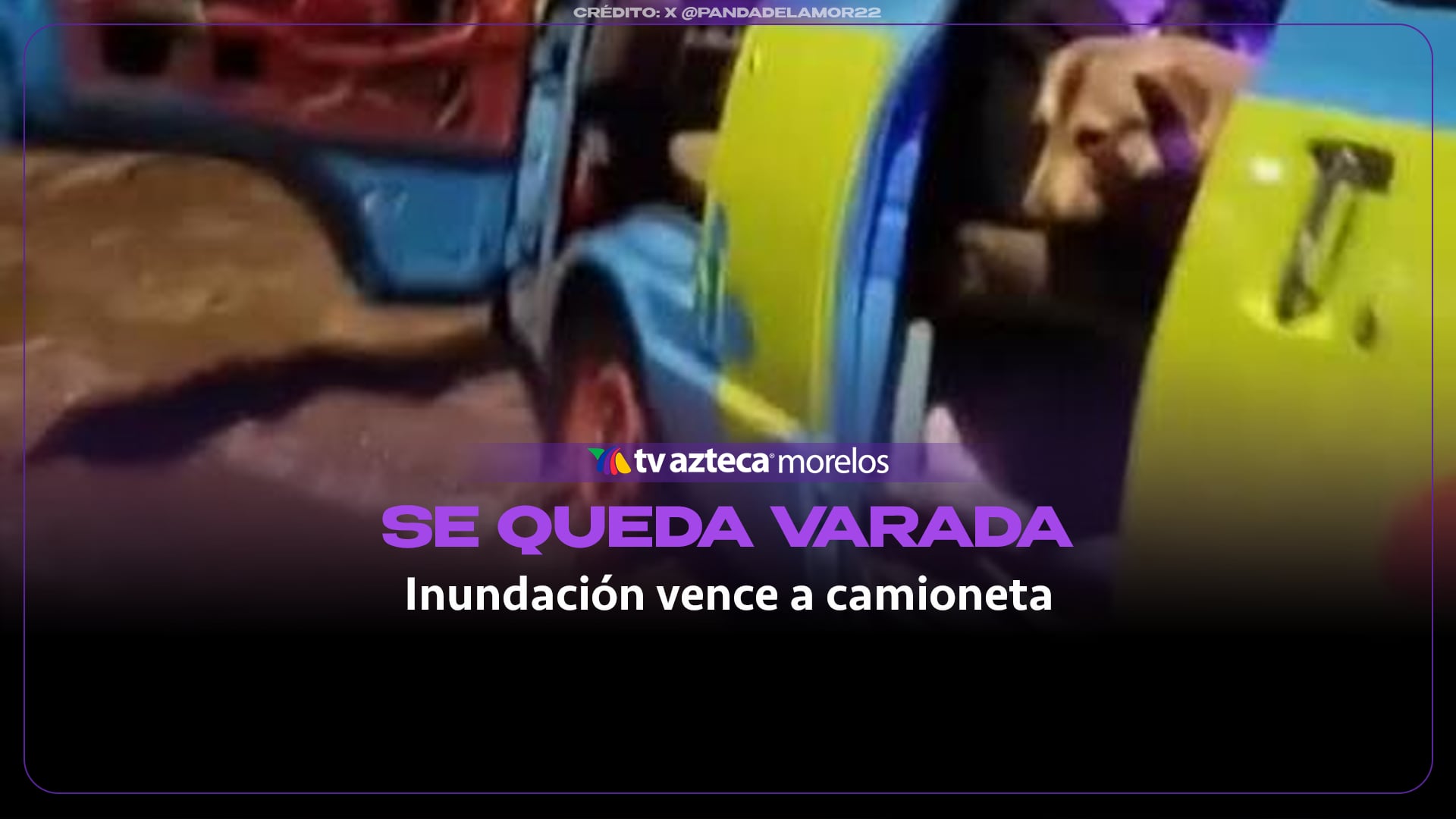 “Shaggy tengo miedo”: La “Máquina del Misterio” queda atrapada en inundación
