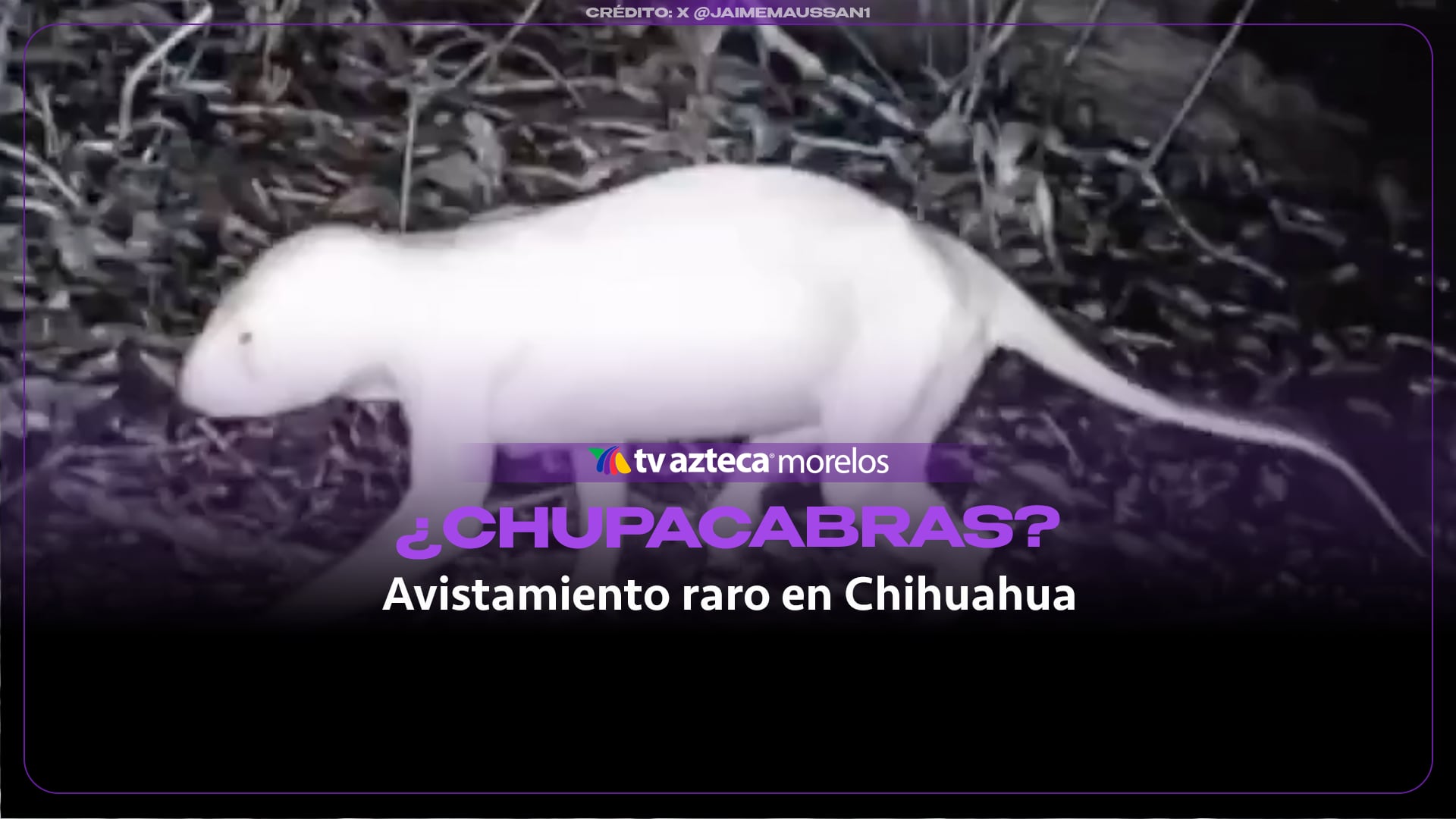 VIDEO | ¿Captaron al Chupacabras en Chihuahua? La misteriosa criatura del Valle de Juárez