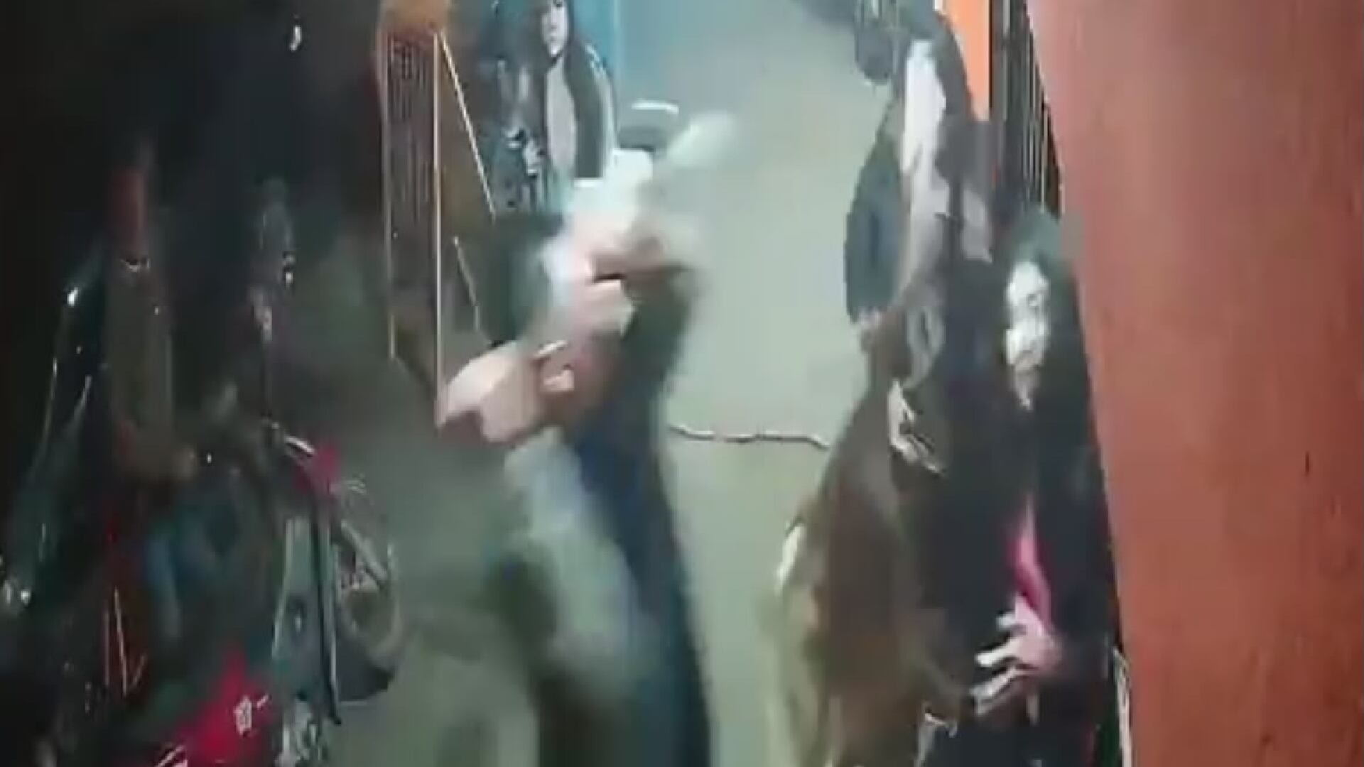 Madre e hija son atacadas con un machete en Rafael Castillo, Argentina