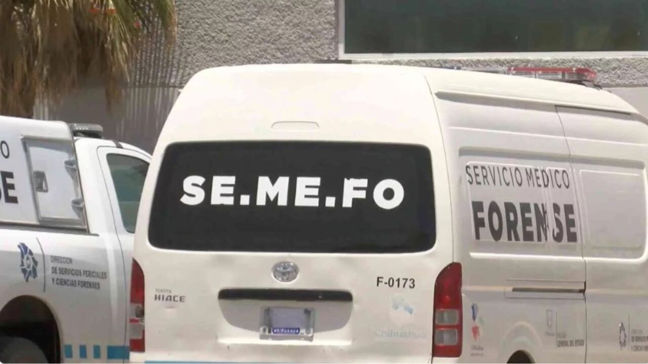 Semefo