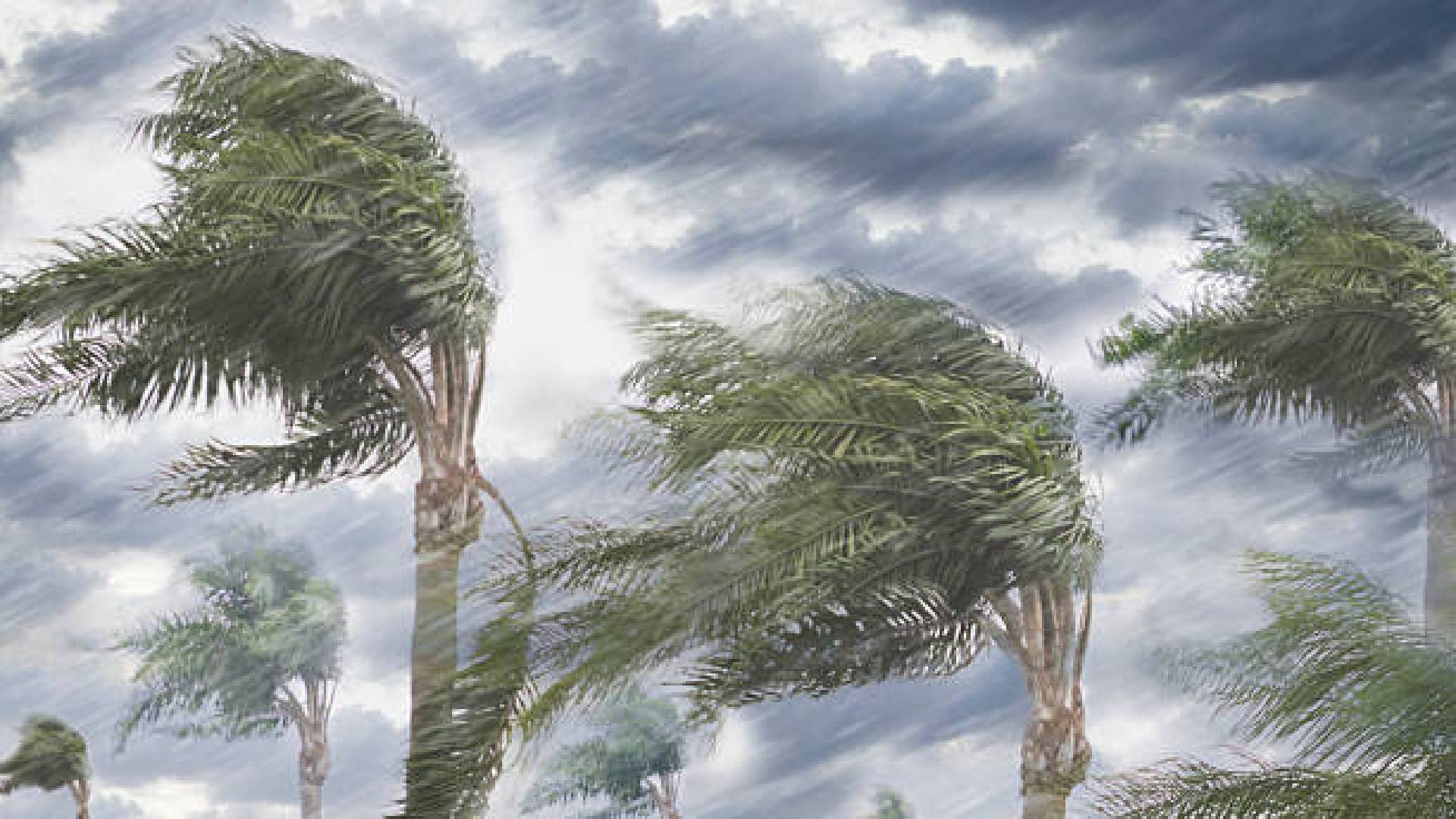 ¡Cuídate de la lluvia! Confirman lluvias intensas en cuatro estados de México HOY; Morelos en la lista de entidades afectadas