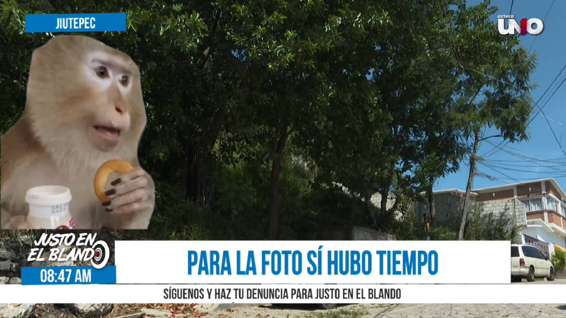 Captura de pantalla.