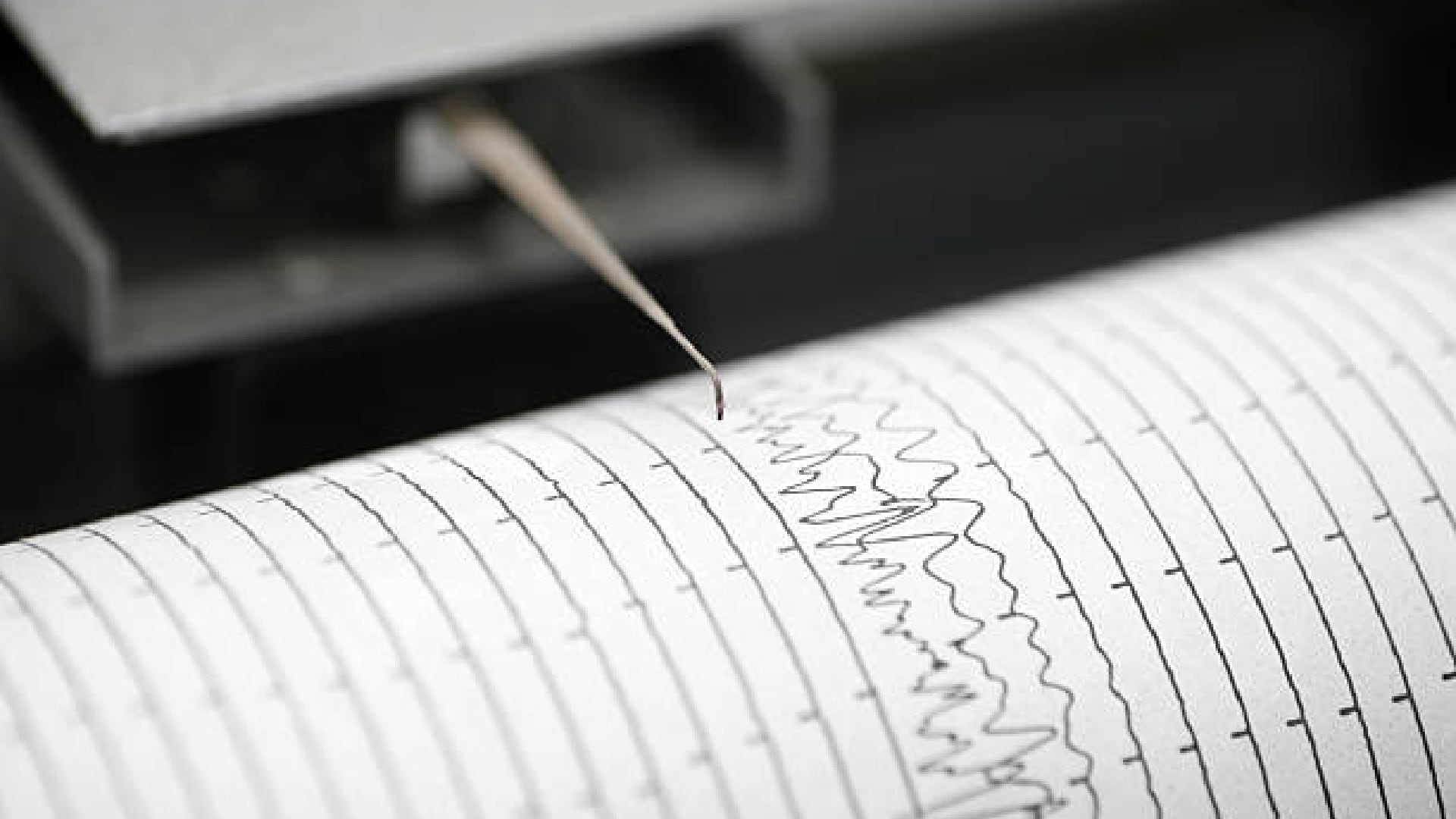 ¿Se sintió en Morelos? Sismo sorprende al sur de Guerrero la tarde de ese martes