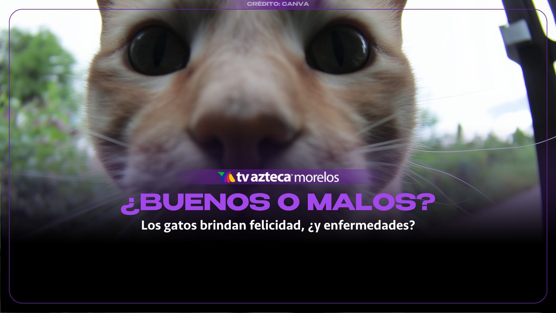 Imagen ilustrativa.