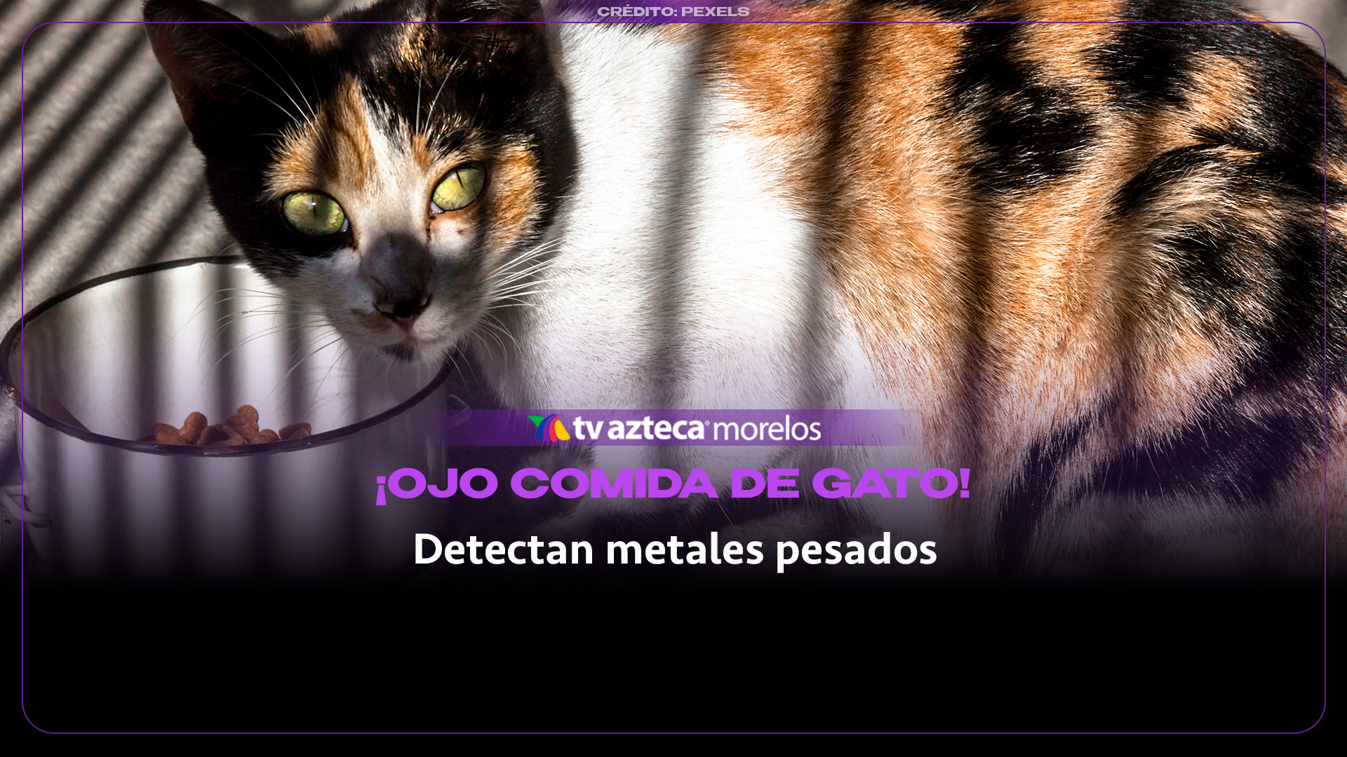 Imagen ilustrativa.
