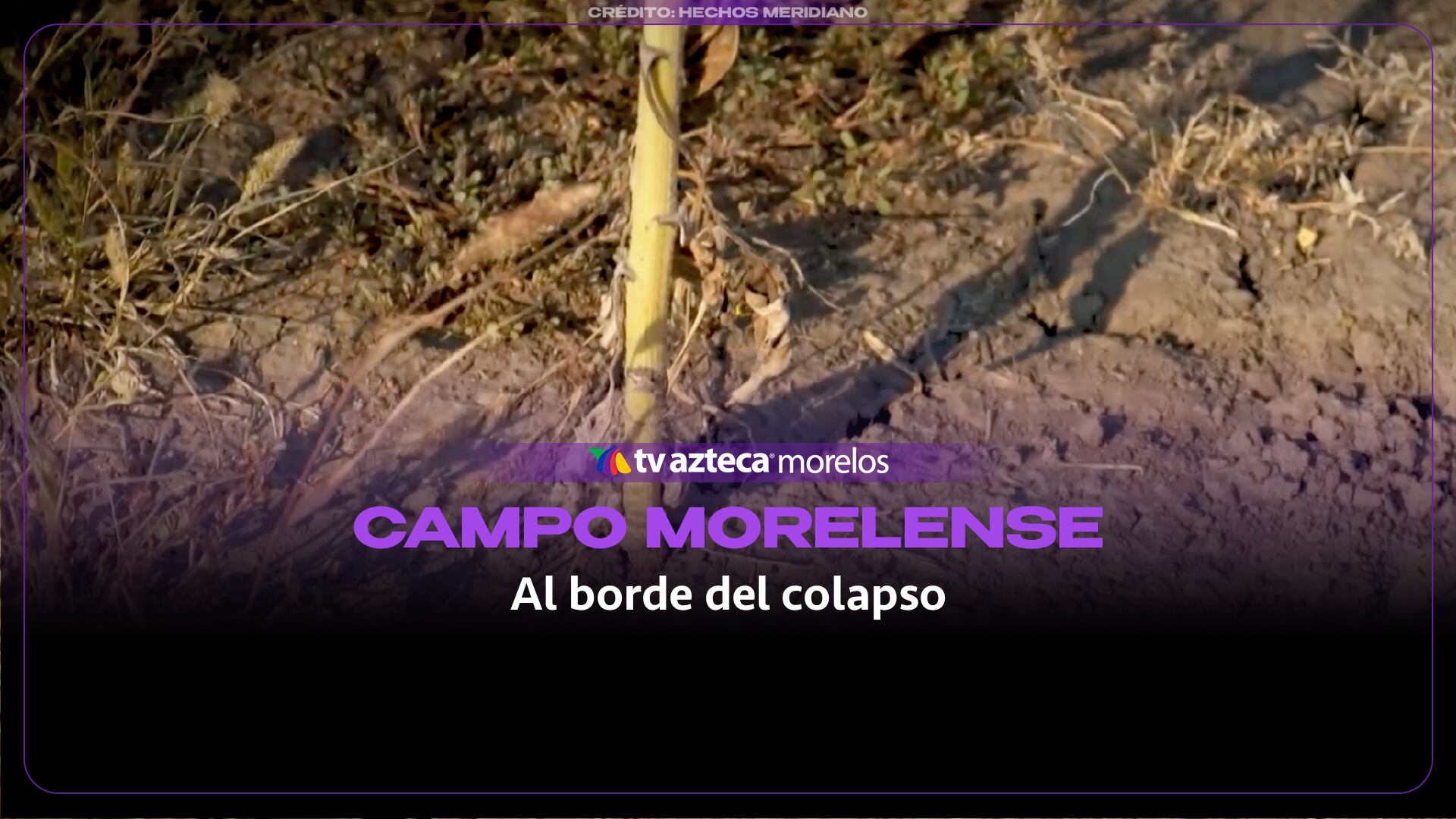 Campo morelense al borde del colapso