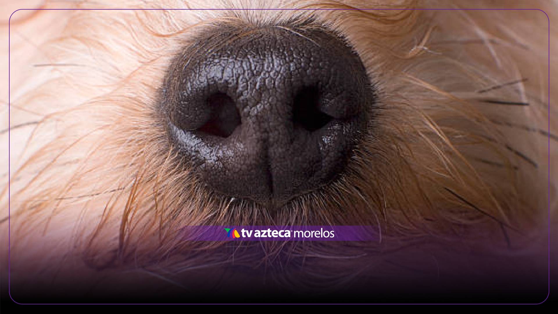 Fotografía ilustrativa.
